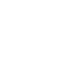 Diblot logo